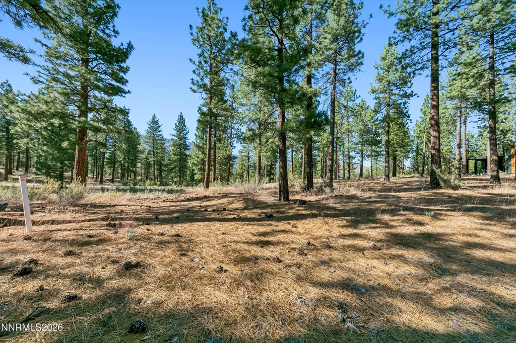 238 Redding Carson City NV 89705