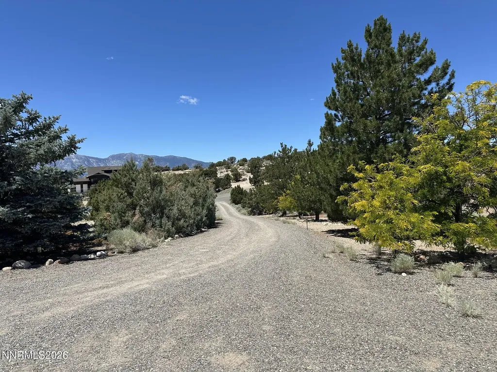 1515 Patrick Gardnerville NV 89410