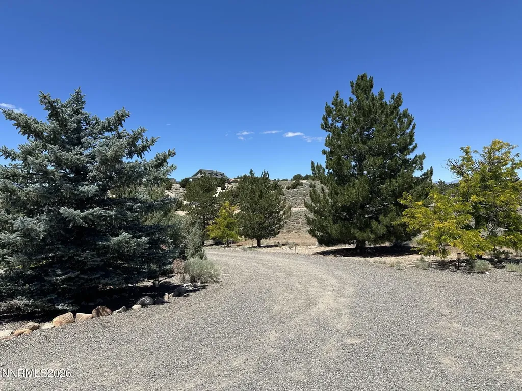 1515 Patrick Gardnerville NV 89410
