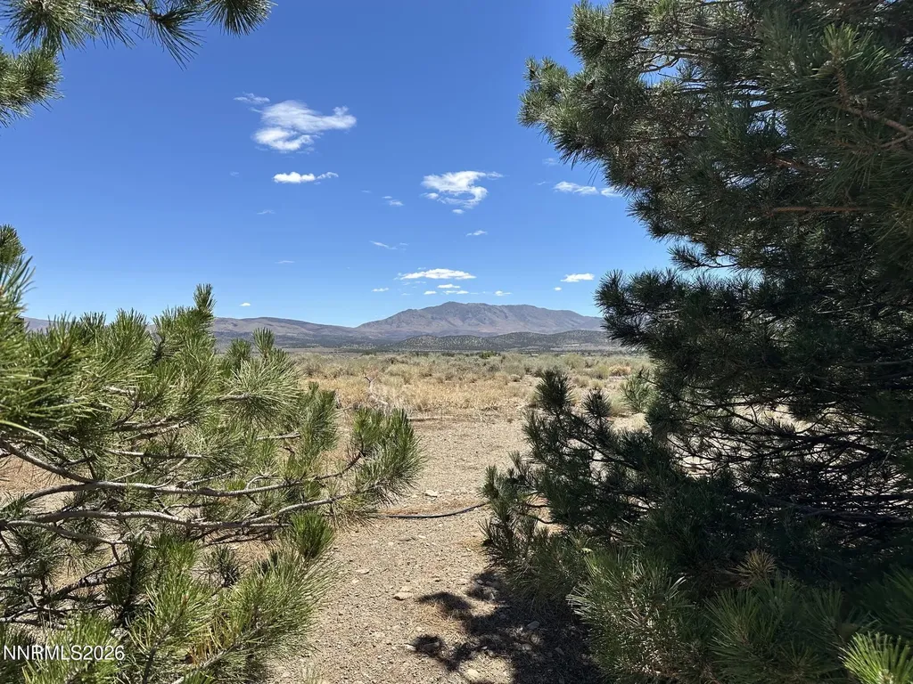 1515 Patrick Gardnerville NV 89410