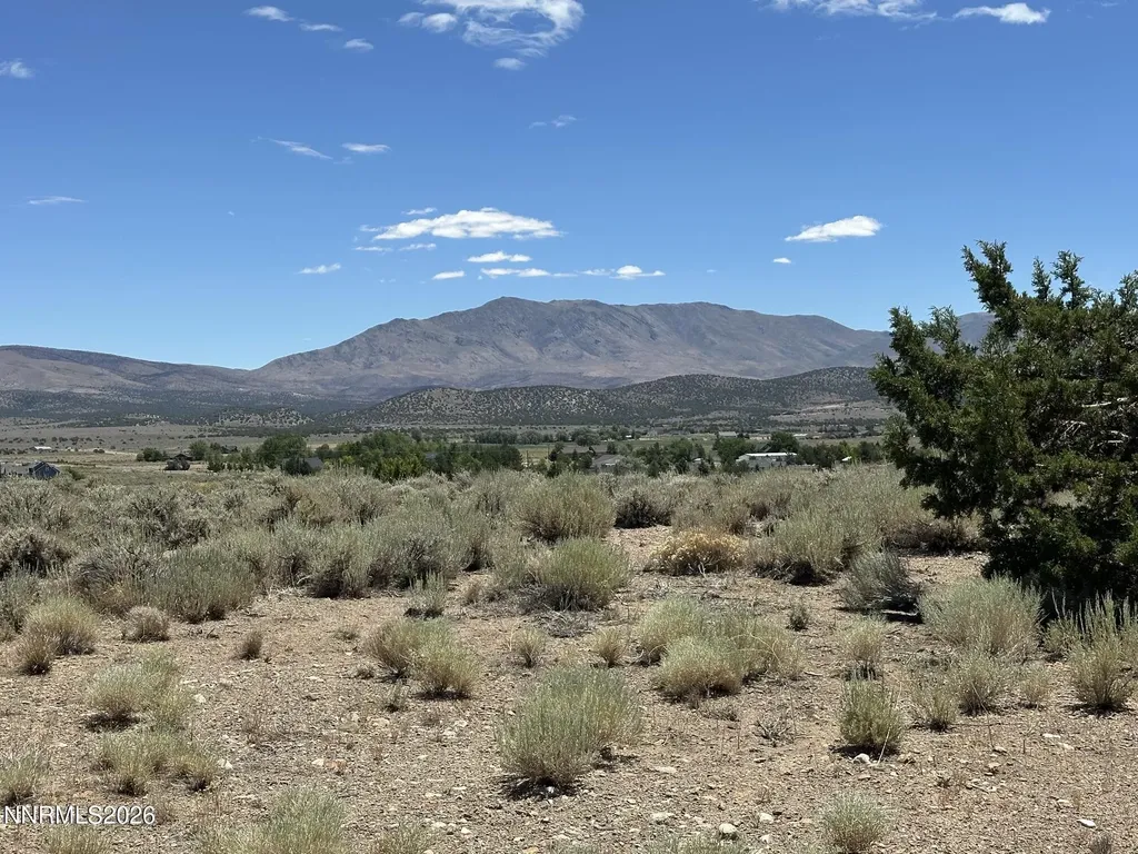 1515 Patrick Gardnerville NV 89410