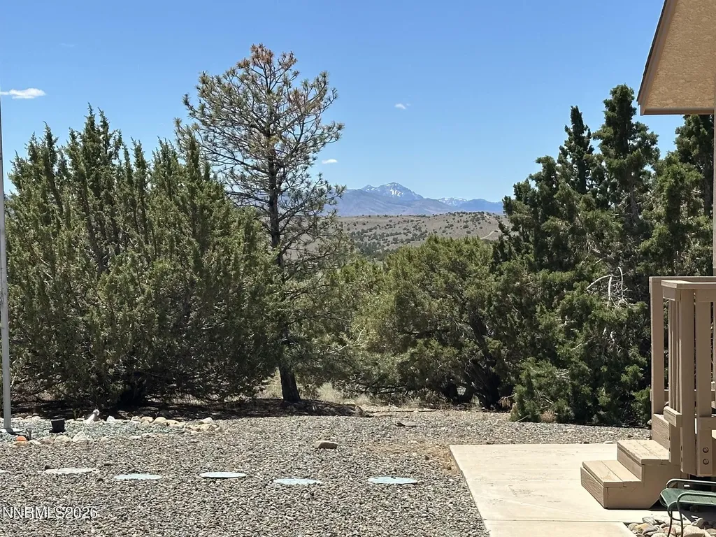 1515 Patrick Gardnerville NV 89410