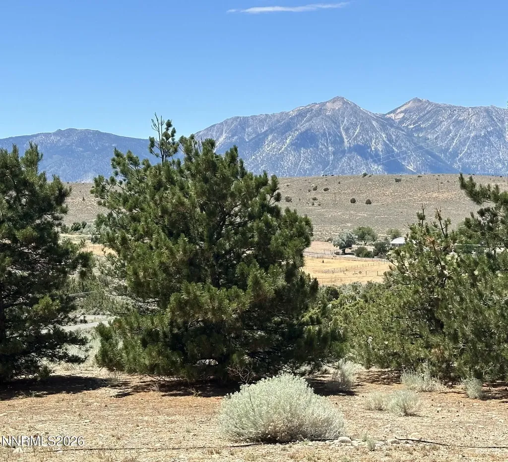 1515 Patrick Gardnerville NV 89410