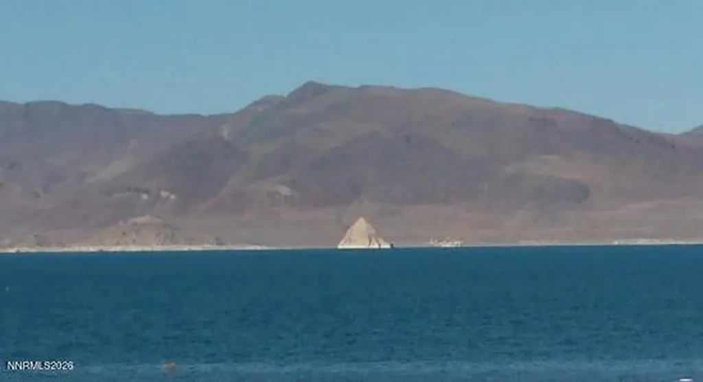 1805 Rodero Reno NV 89510