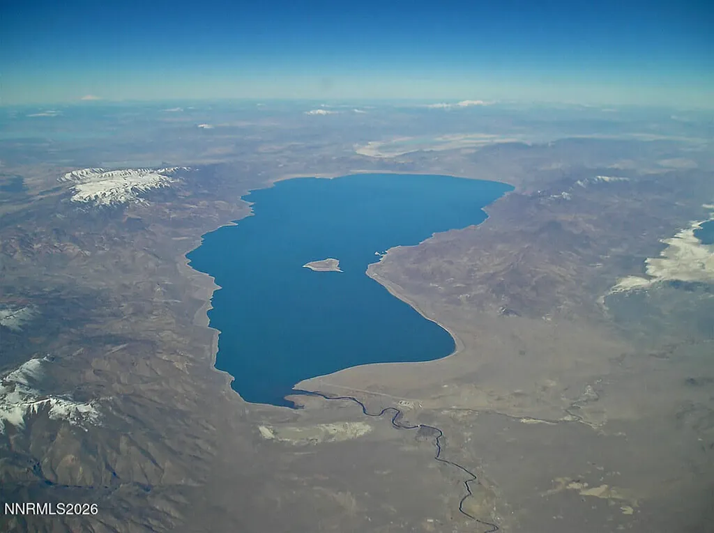 1805 Rodero Reno NV 89510