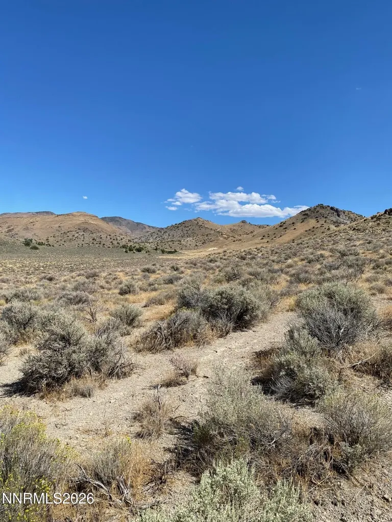 1805 Rodero Reno NV 89510