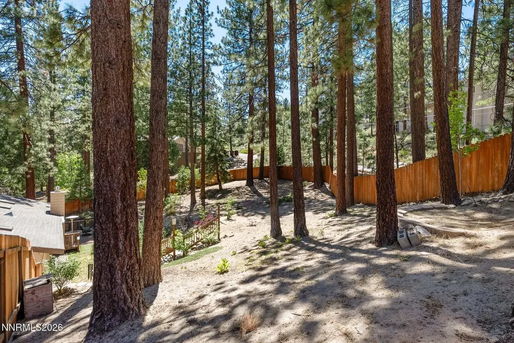256 Mcfaul Zephyr Cove NV 89448