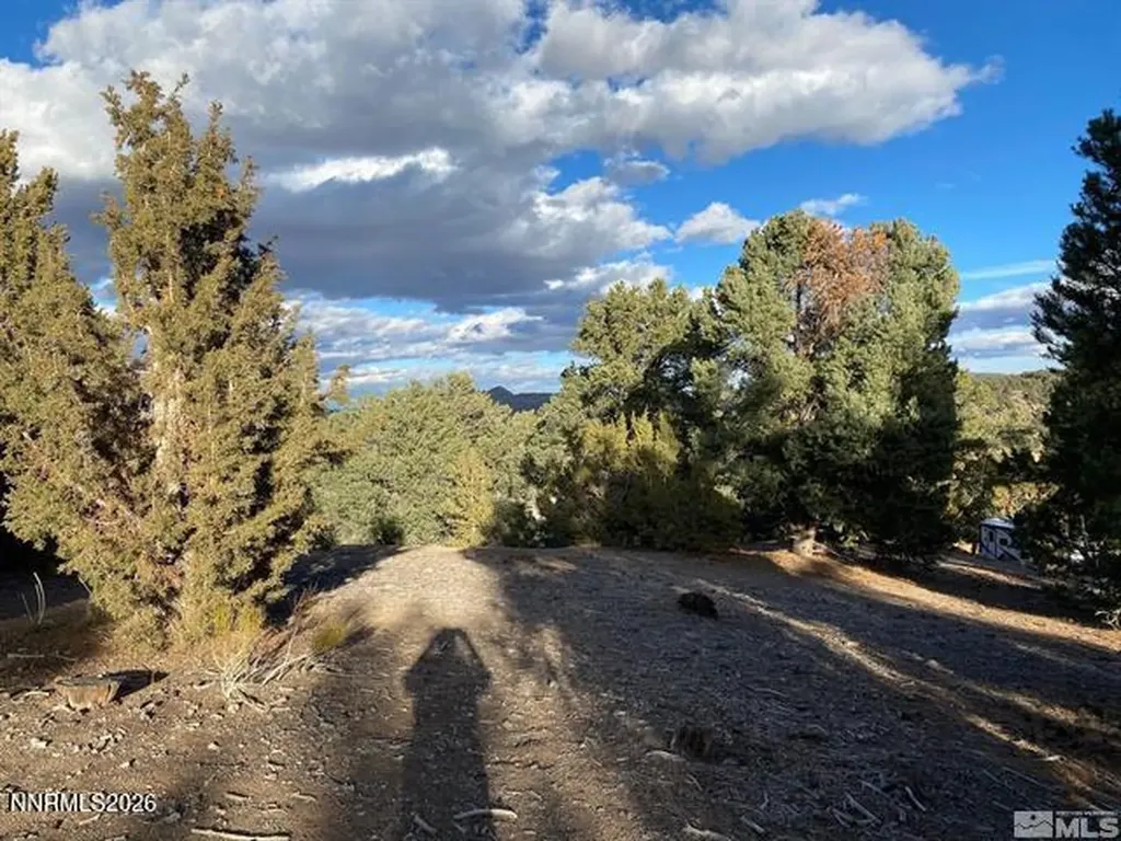21650 Palamino Reno NV 89521
