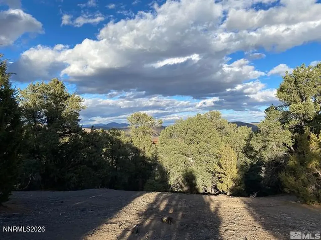 21650 Palamino Reno NV 89521