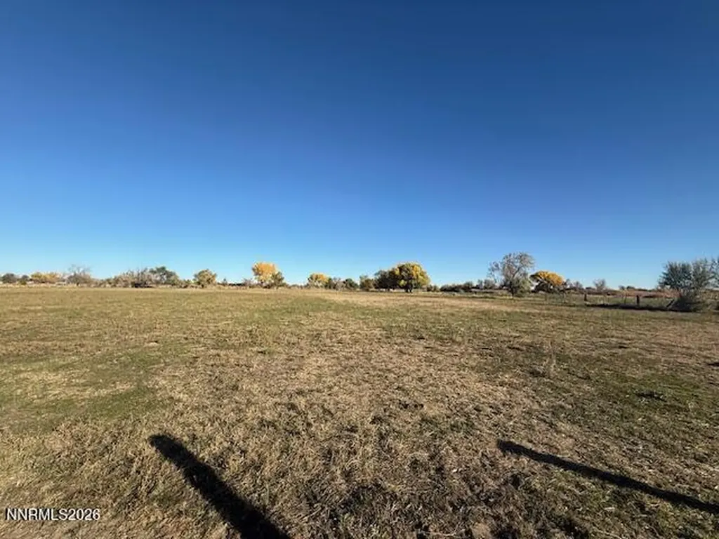 4162 Schindler Fallon NV 89406