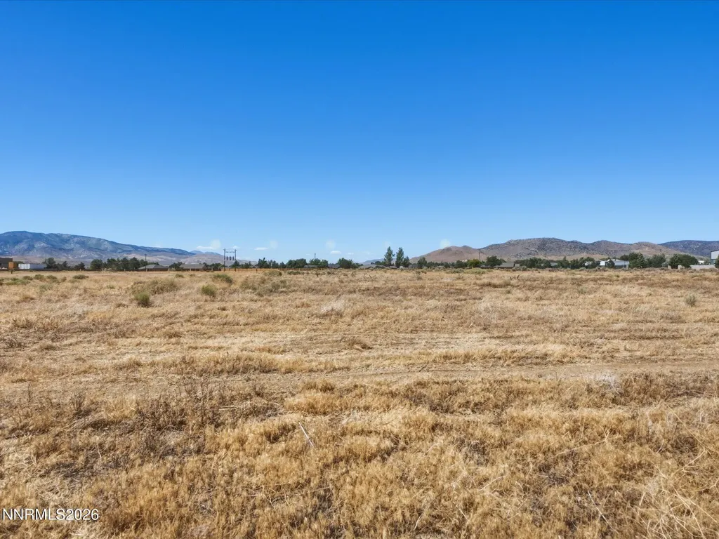 2559 Wildhorse Minden NV 89423