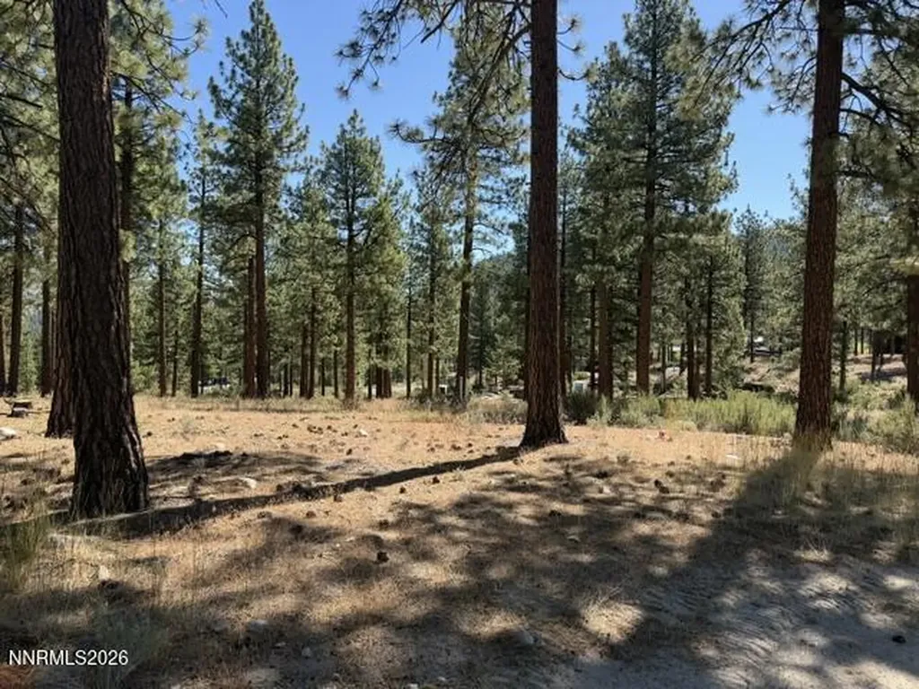 230 Redding Carson City NV 89705