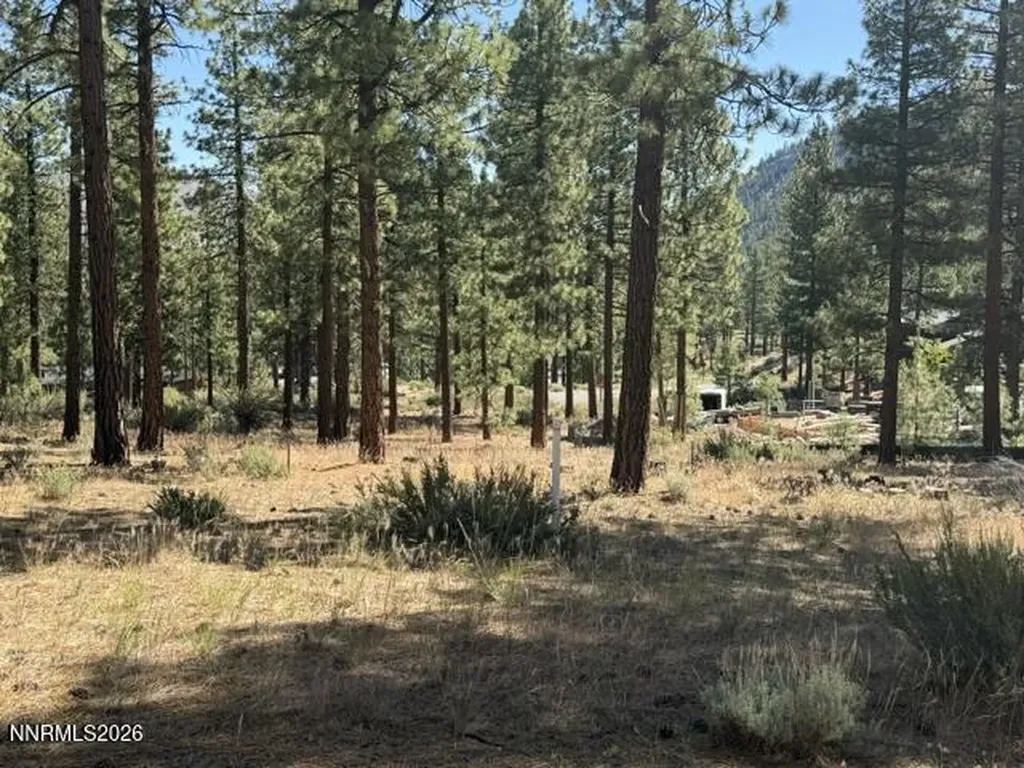 230 Redding Carson City NV 89705