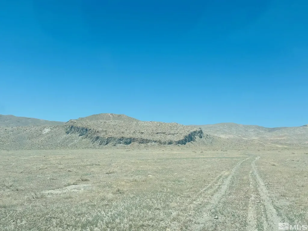 T25 Sec 17 Lovelock NV 89419