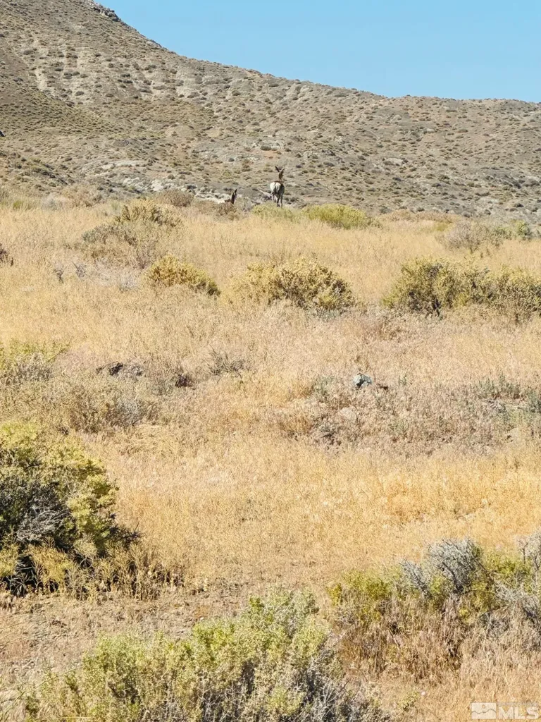 T25 Sec 17 Lovelock NV 89419