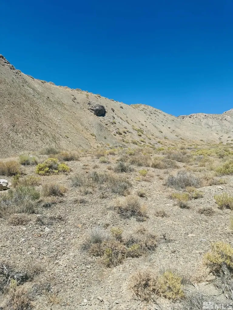 T25 Sec 17 Lovelock NV 89419