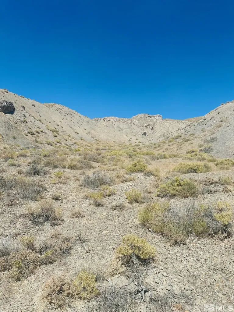 T25 Sec 17 Lovelock NV 89419