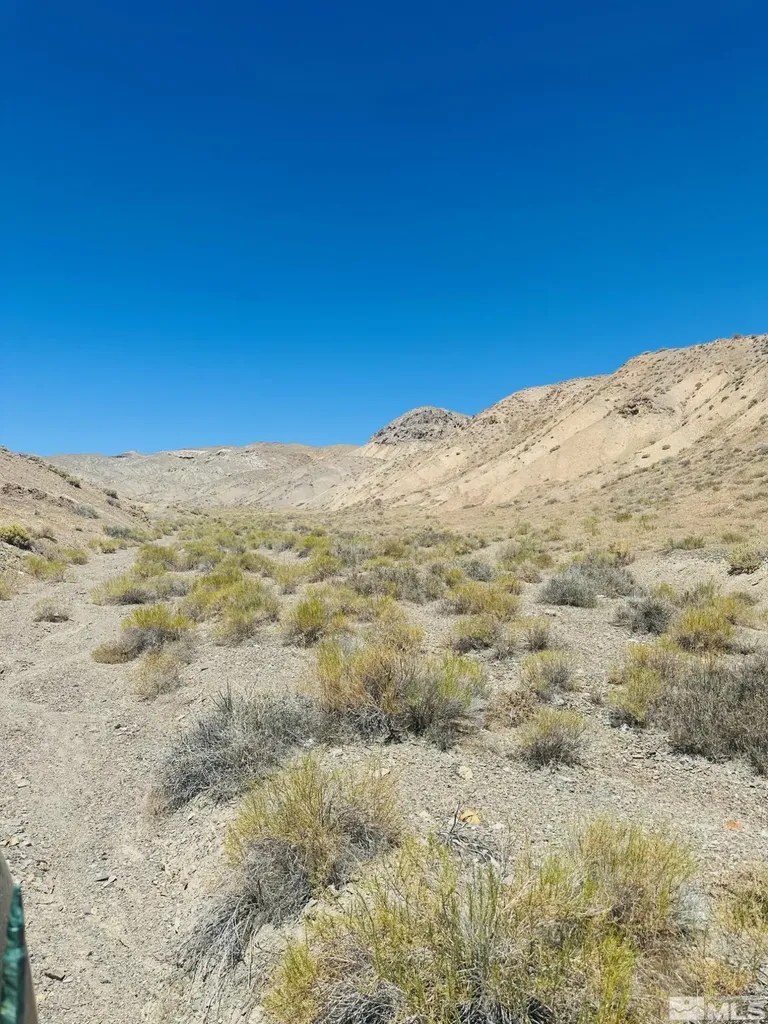 T25 Sec 17 Lovelock NV 89419