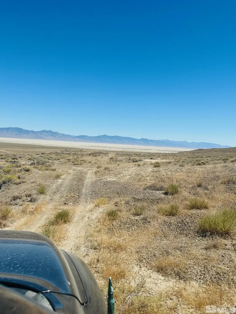 T25 Sec 17 Lovelock NV 89419
