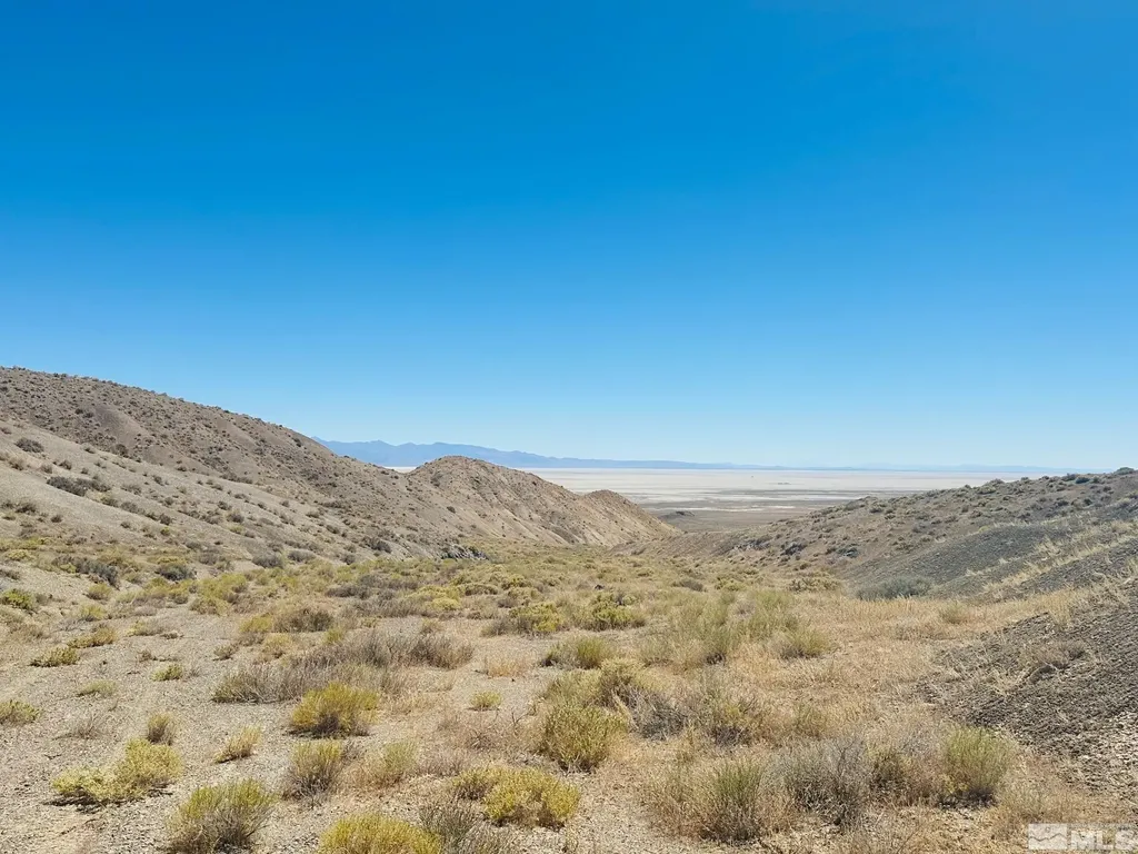 T25 Sec 17 Lovelock NV 89419