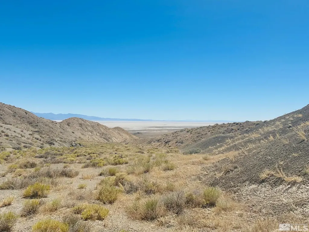 T25 Sec 17 Lovelock NV 89419