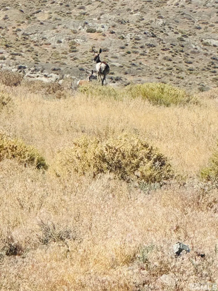 T25 Sec 17 Lovelock NV 89419