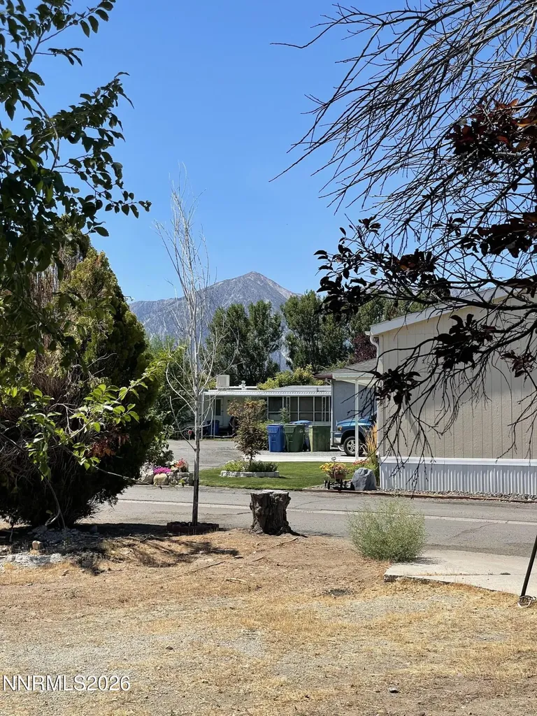 1236 Kingslane Gardnerville NV 89410