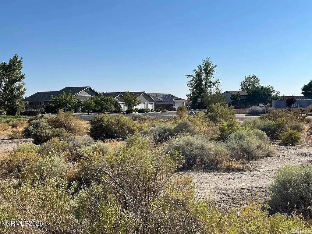 1195 Sarah Belle Fallon NV 89406