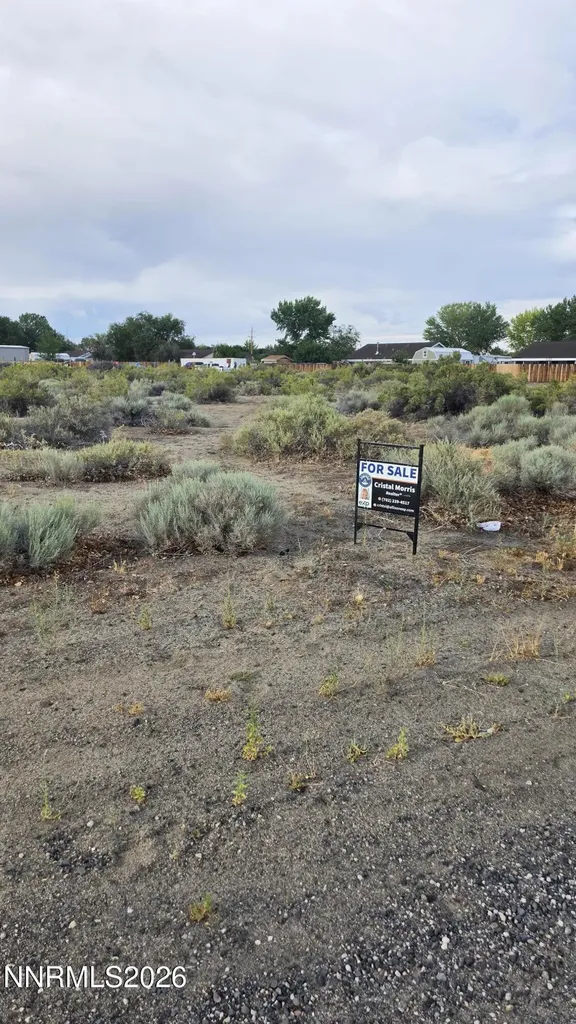 1195 Sarah Belle Fallon NV 89406