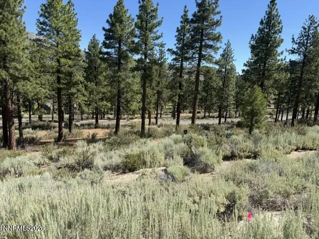 3265 Summit Camp Carson City NV 89705