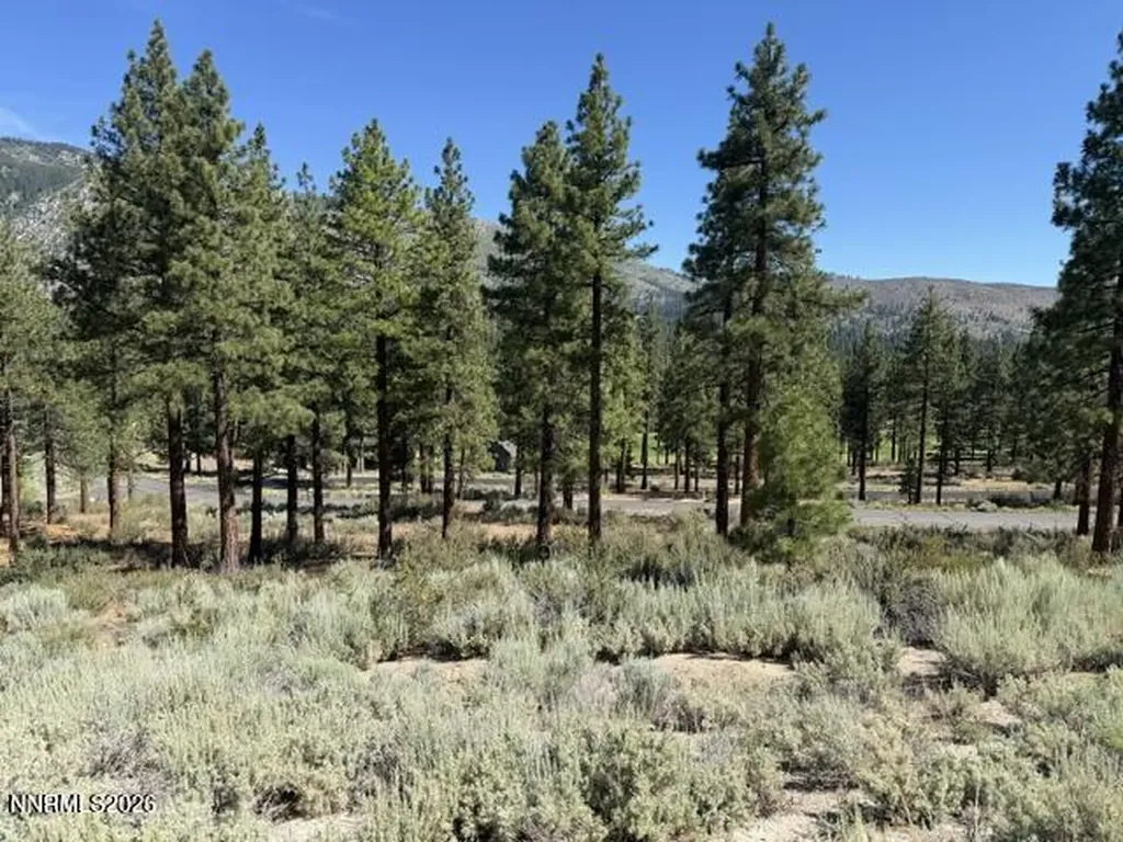 3265 Summit Camp Carson City NV 89705