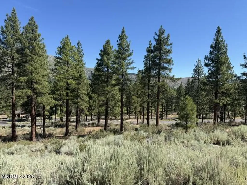 3265 Summit Camp Carson City NV 89705