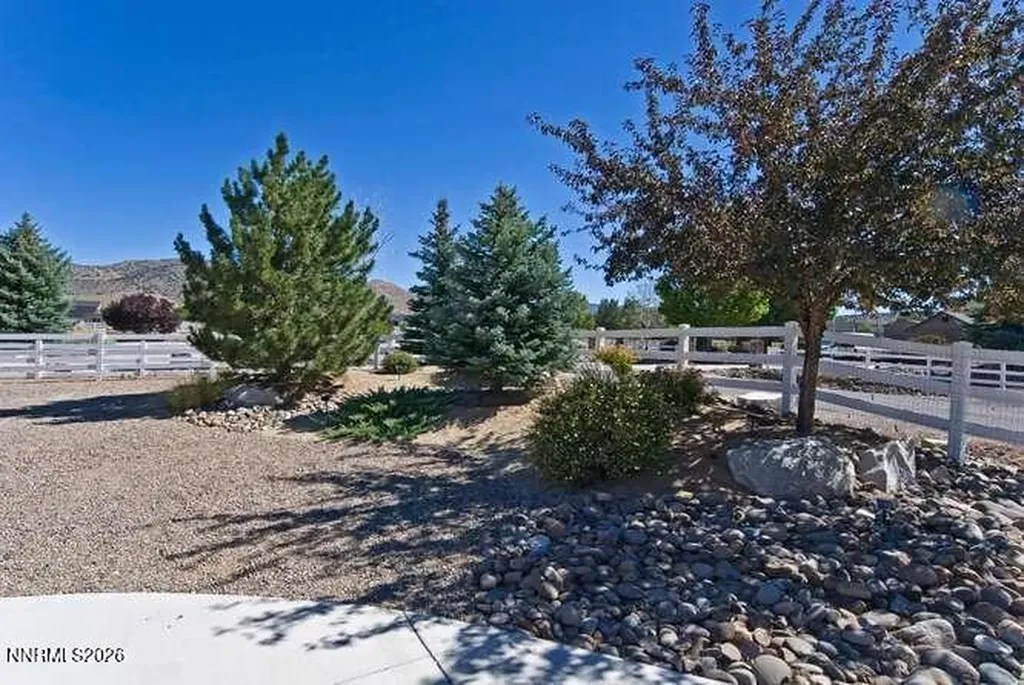 1572 Amber Rose Minden NV 89423