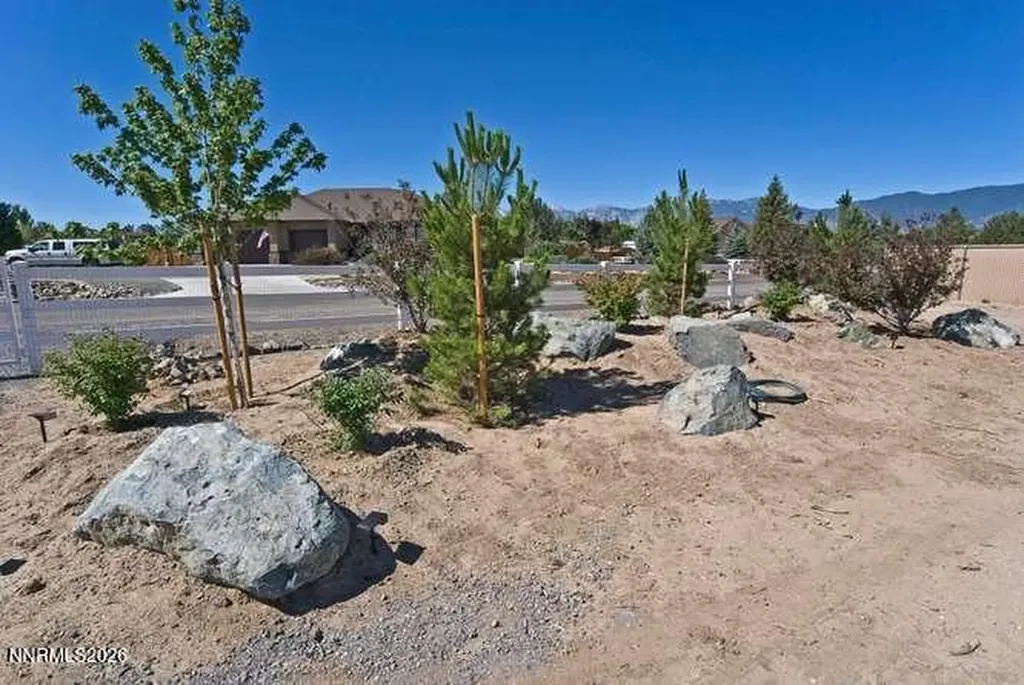 1572 Amber Rose Minden NV 89423