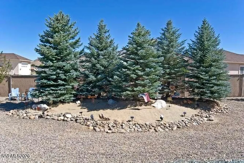 1572 Amber Rose Minden NV 89423