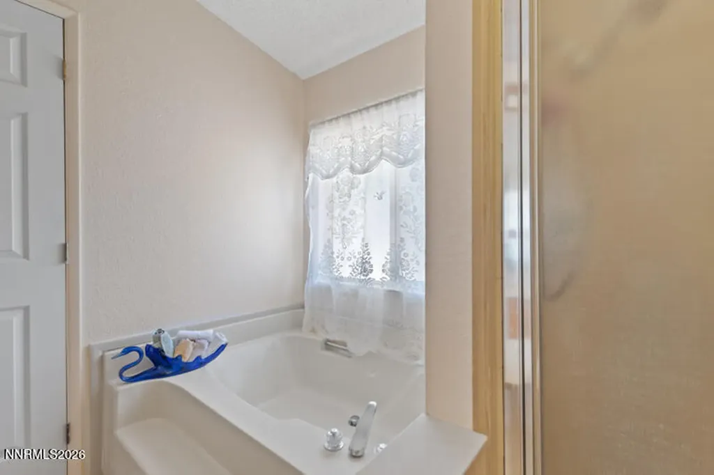 232 Avenue De La Bleu De Clair Sparks NV 89434