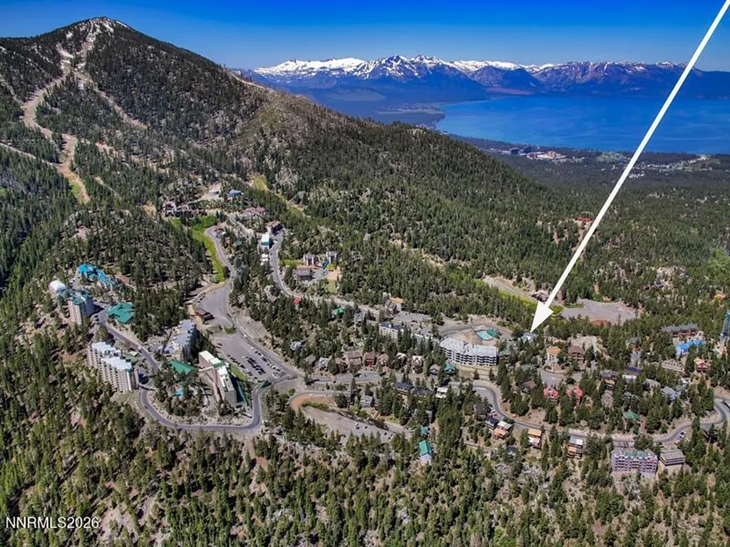 313 Tramway Stateline NV 89449