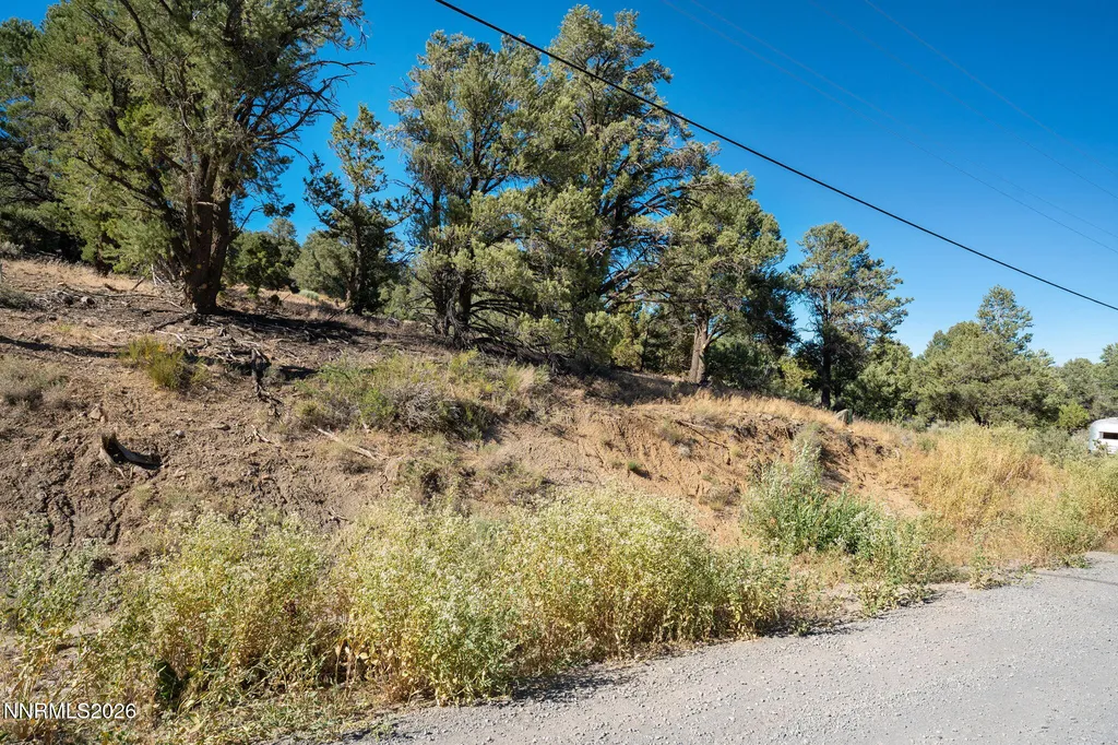 21630 Sazarac Reno NV 89521