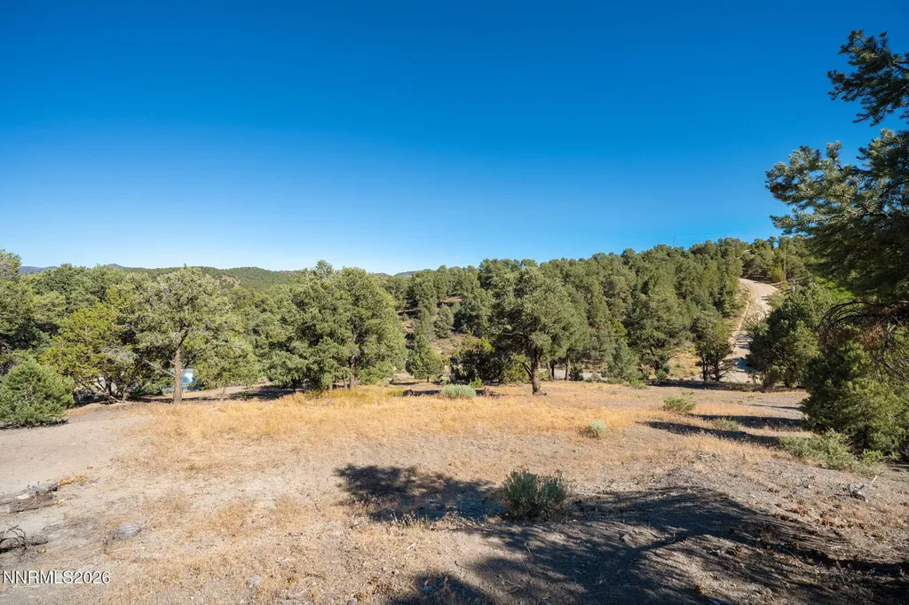 21630 Sazarac Reno NV 89521
