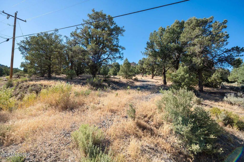 21630 Sazarac Reno NV 89521