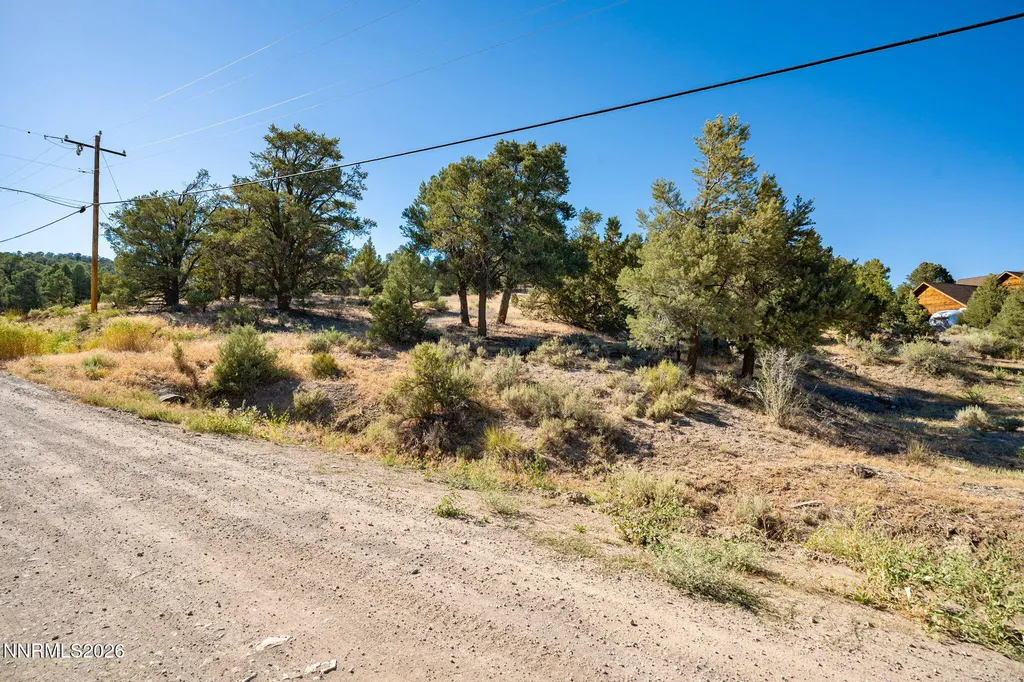21630 Sazarac Reno NV 89521