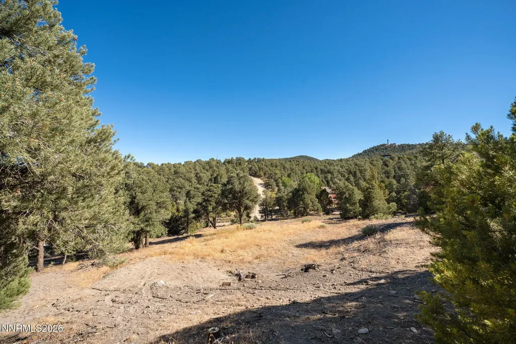21630 Sazarac Reno NV 89521