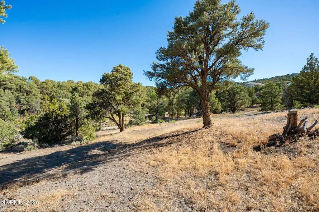 21630 Sazarac Reno NV 89521