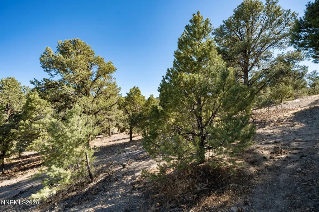 21630 Sazarac Reno NV 89521