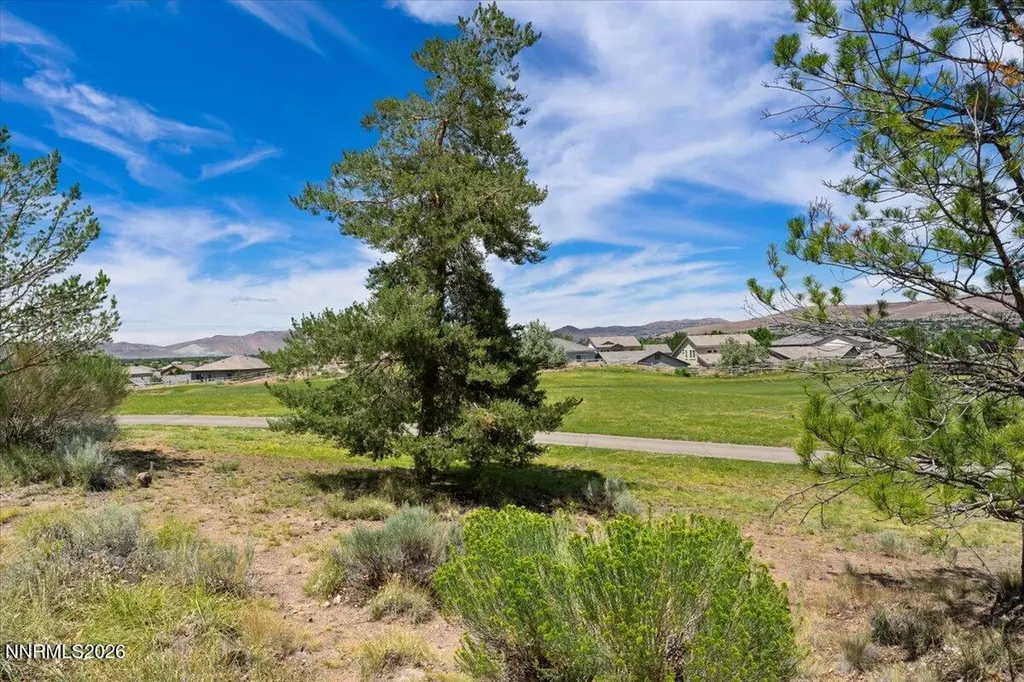 6367 Rey Del Sierra Sparks NV 89436