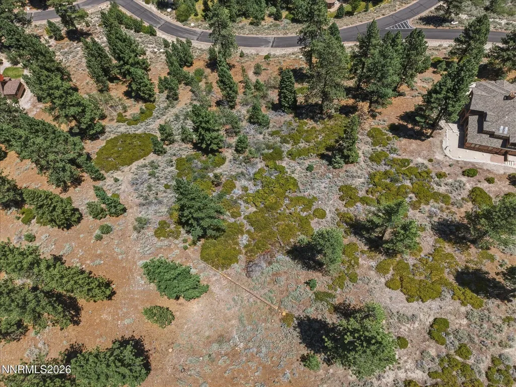 490 Nature's Edge Gardnerville NV 89460