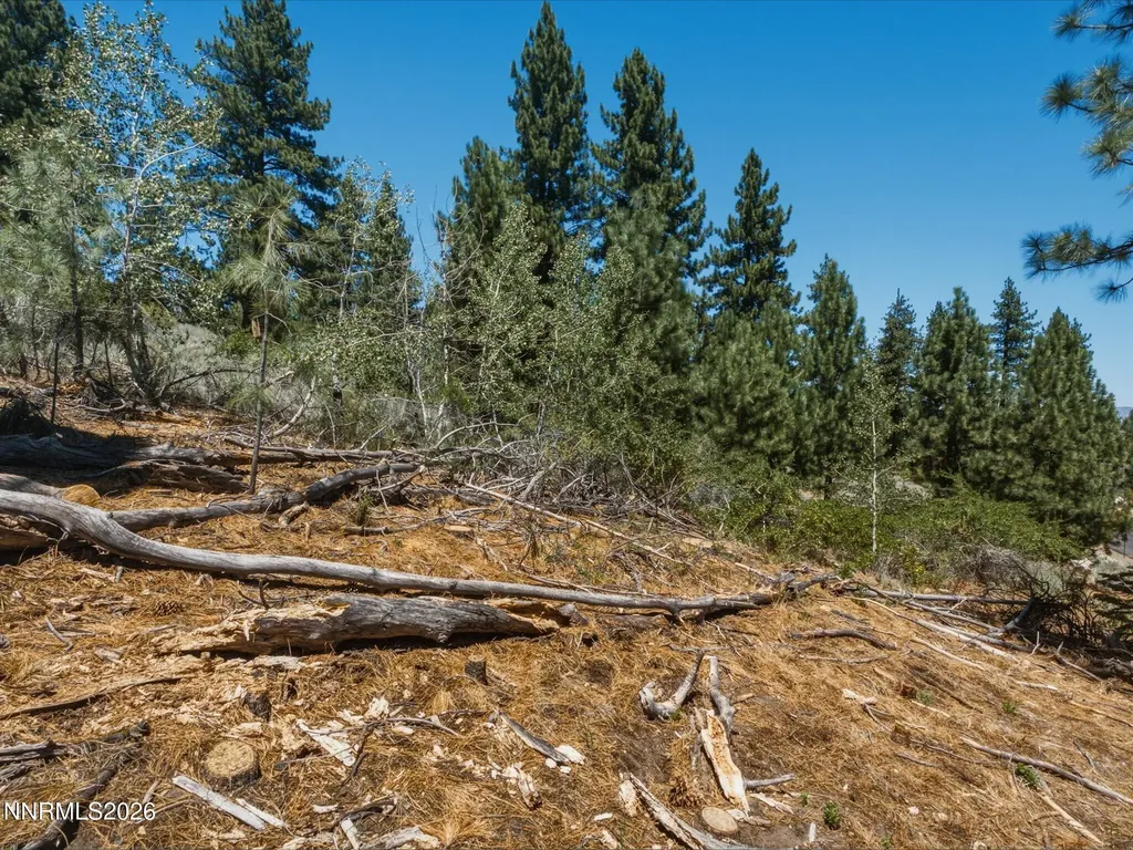 490 Nature's Edge Gardnerville NV 89460
