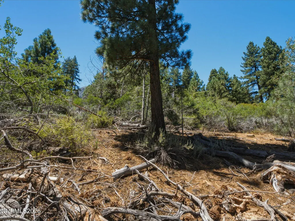 490 Nature's Edge Gardnerville NV 89460