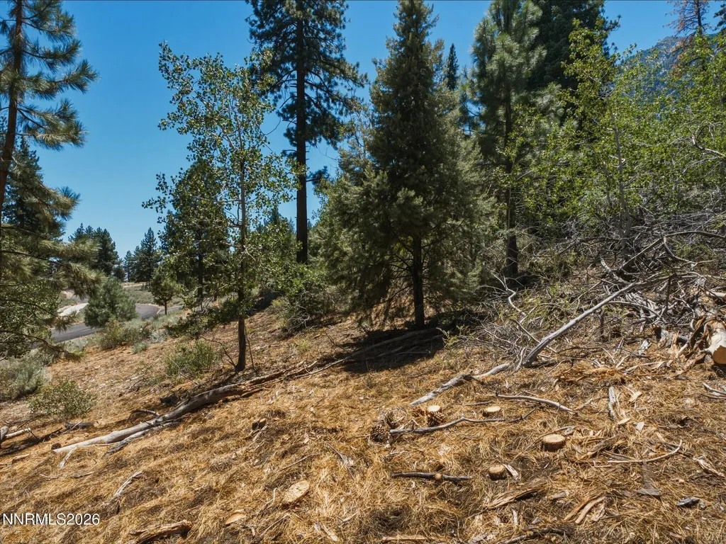 490 Nature's Edge Gardnerville NV 89460
