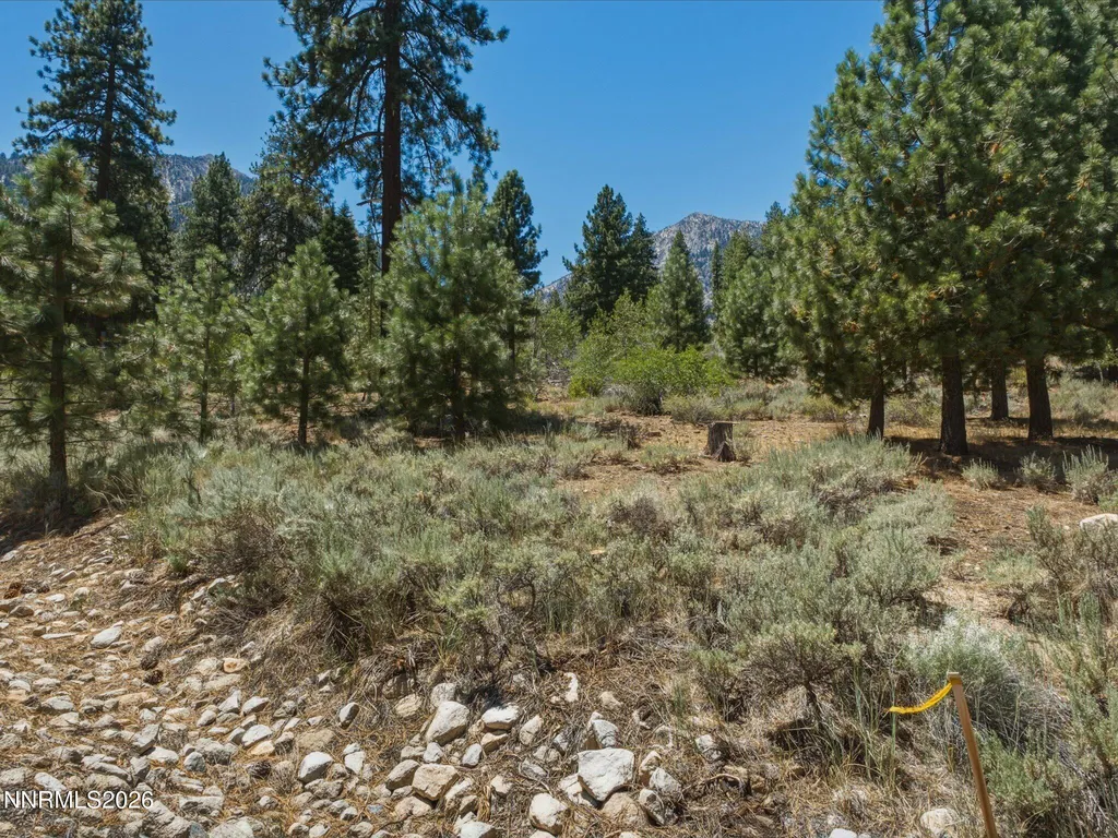 490 Nature's Edge Gardnerville NV 89460